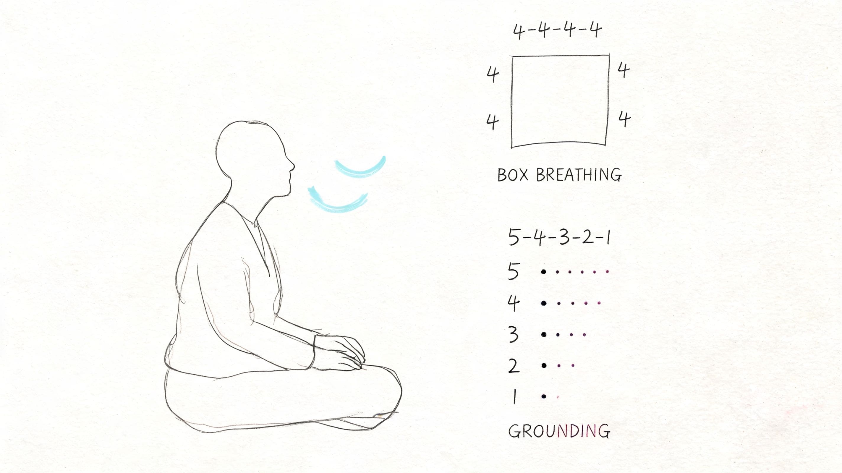 Line drawing of a person breathing calmly with box breathing and grounding steps for emotional regulation before speaking