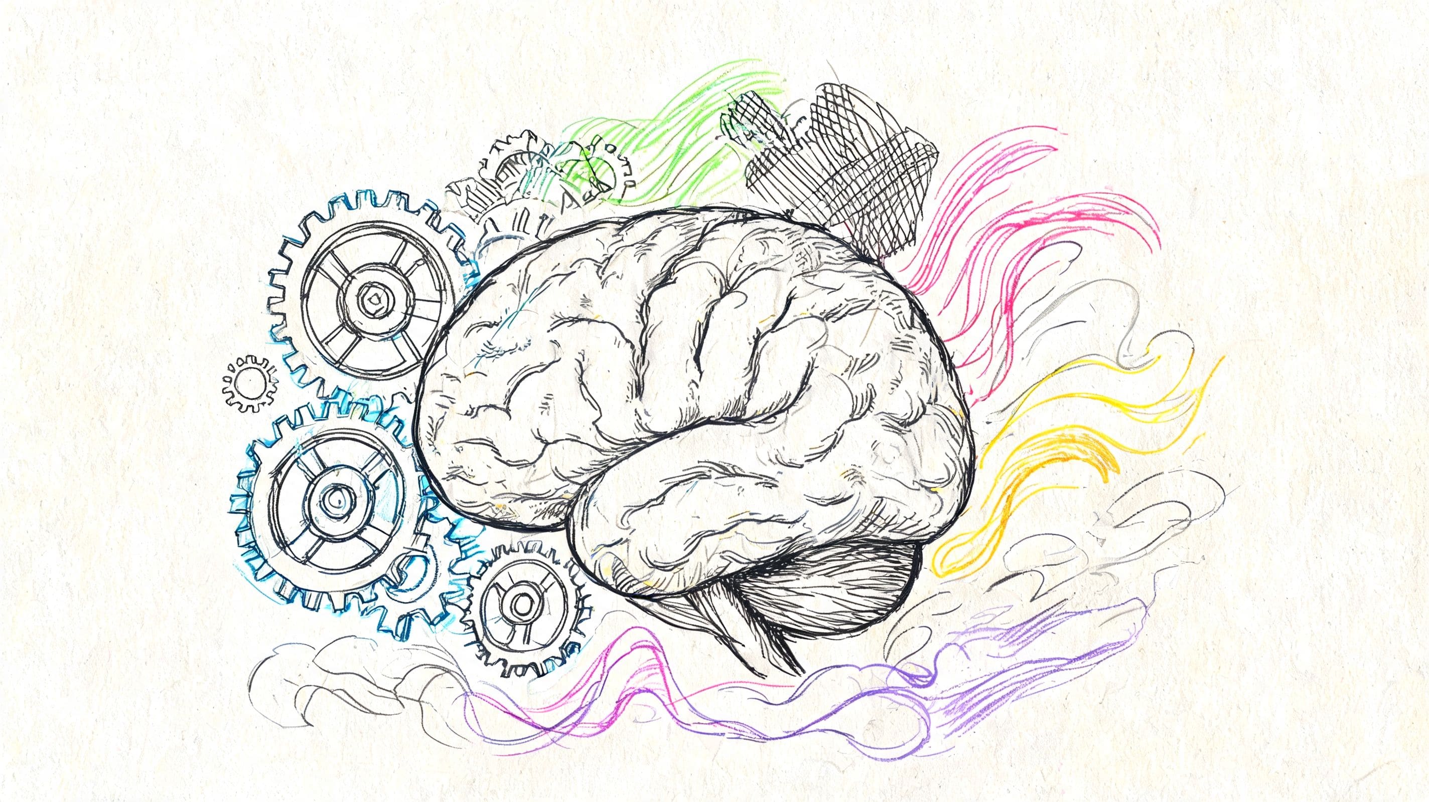 Concept sketch of a brain linked to gears showing how sensory 5-4-3-2-1 grounding engages cortical processing over alarm